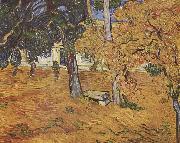 Vincent Van Gogh Park des Spitals oil on canvas